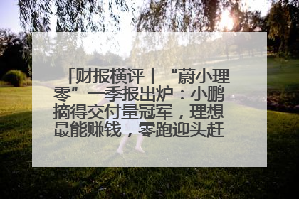 财报横评丨“蔚小理零”一季报出炉：小鹏摘得交付量冠军，理想最能赚钱，零跑迎头赶上，蔚来还在调整