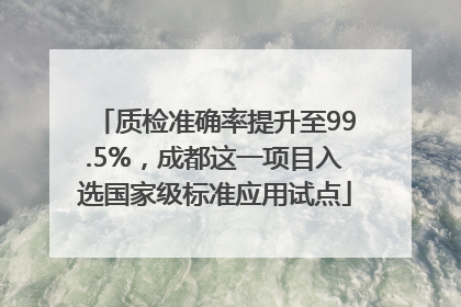 质检准确率提升至99.5%，成都这一项目入选国家级标准应用试点