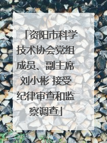 资阳市科学技术协会党组成员、副主席刘小彬 接受纪律审查和监察调查