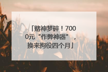 赌神梦碎！7000元“作弊神器”，换来拘役四个月