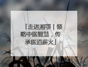 走进湘鄂｜领略中医智慧，传承医道薪火