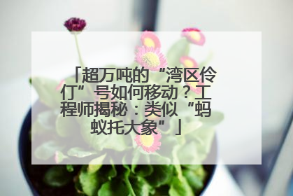 超万吨的“湾区伶仃”号如何移动？工程师揭秘：类似“蚂蚁托大象”