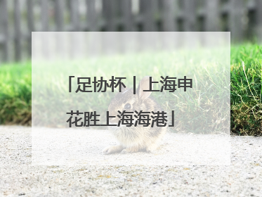 足协杯｜上海申花胜上海海港