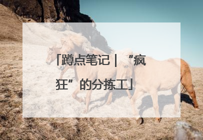蹲点笔记｜“疯狂”的分拣工