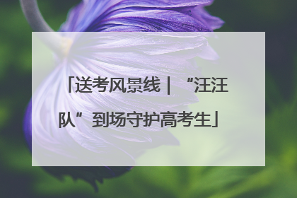 送考风景线｜“汪汪队”到场守护高考生