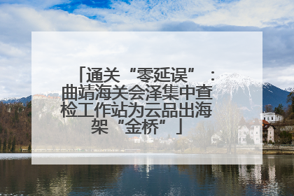 通关“零延误”：曲靖海关会泽集中查检工作站为云品出海架“金桥”