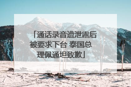 通话录音遭泄露后被要求下台 泰国总理佩通坦致歉