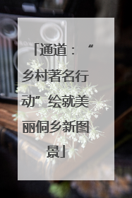 通道：“乡村著名行动”绘就美丽侗乡新图景