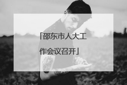 邵东市人大工作会议召开