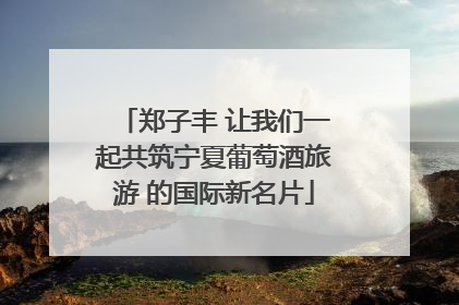 郑子丰 让我们一起共筑宁夏葡萄酒旅游 的国际新名片