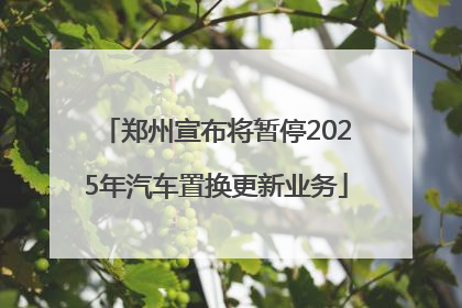 郑州宣布将暂停2025年汽车置换更新业务