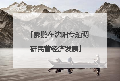 郝鹏在沈阳专题调研民营经济发展