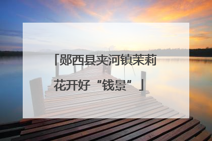 郧西县夹河镇茉莉花开好“钱景”