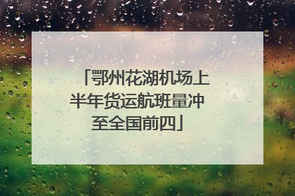 鄂州花湖机场上半年货运航班量冲至全国前四