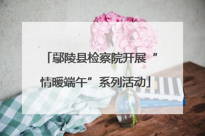 鄢陵县检察院开展“情暖端午”系列活动