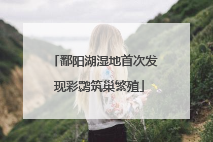 鄱阳湖湿地首次发现彩鹮筑巢繁殖