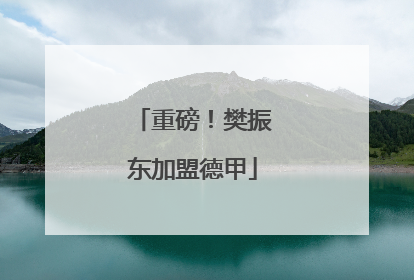 重磅！樊振东加盟德甲