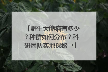 野生大熊猫有多少？种群如何分布？科研团队实地探秘→