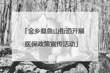 金乡县鱼山街道开展医保政策宣传活动