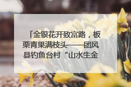 金银花开致富路，板栗青果满枝头——团风县钓鱼台村“山水生金”谱写共富新篇章