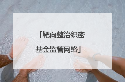 靶向整治织密基金监管网络