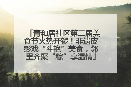 青和居社区第二届美食节火热开锣！非遗皮影戏“斗艳”美食，邻里齐聚“粽”享温情
