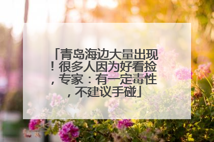 青岛海边大量出现！很多人因为好看捡，专家：有一定毒性，不建议手碰