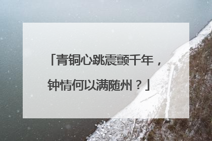 青铜心跳震颤千年，钟情何以满随州？