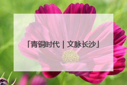 青铜时代｜文脉长沙