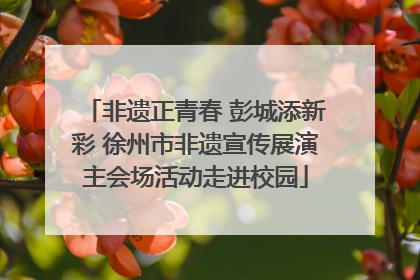 非遗正青春 彭城添新彩 徐州市非遗宣传展演主会场活动走进校园