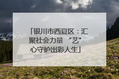 银川市西夏区：汇聚社会力量 “艺”心守护出彩人生