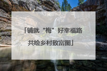 铺就“梅”好幸福路 共绘乡村致富图