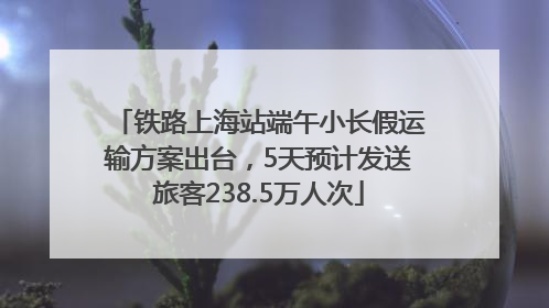 铁路上海站端午小长假运输方案出台，5天预计发送旅客238.5万人次