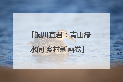 铜川宜君：青山绿水间 乡村新画卷