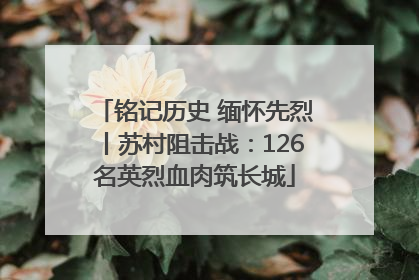 铭记历史 缅怀先烈丨苏村阻击战：126名英烈血肉筑长城