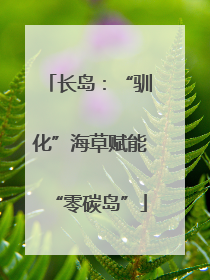 长岛：“驯化”海草赋能“零碳岛”