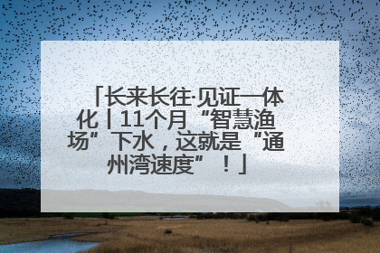长来长往·见证一体化丨11个月“智慧渔场”下水，这就是“通州湾速度”！