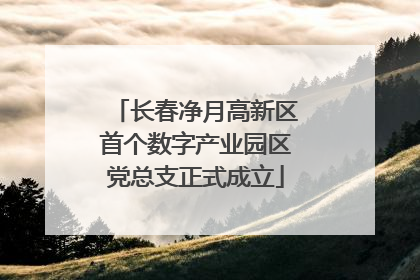 长春净月高新区首个数字产业园区党总支正式成立