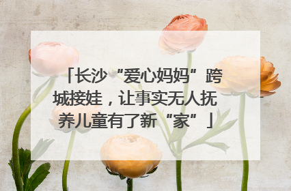 长沙“爱心妈妈”跨城接娃，让事实无人抚养儿童有了新“家”