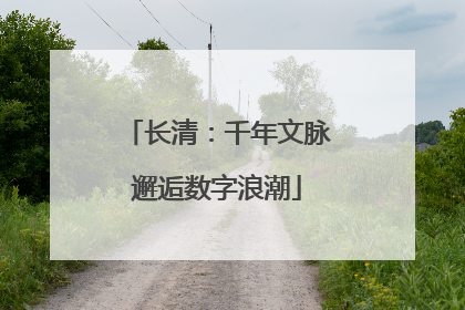 长清：千年文脉邂逅数字浪潮