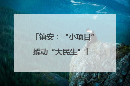 镇安：“小项目”撬动“大民生”