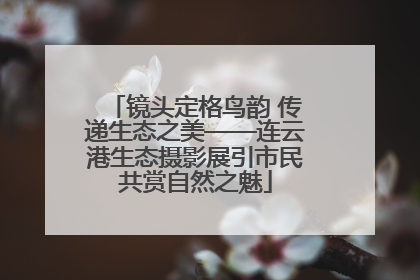 镜头定格鸟韵 传递生态之美——连云港生态摄影展引市民共赏自然之魅