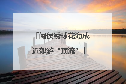 闽侯绣球花海成近郊游“顶流”