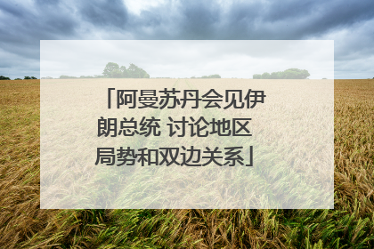 阿曼苏丹会见伊朗总统 讨论地区局势和双边关系