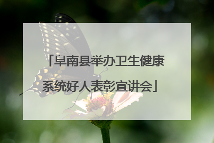 阜南县举办卫生健康系统好人表彰宣讲会