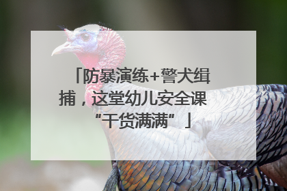 防暴演练+警犬缉捕，这堂幼儿安全课“干货满满”