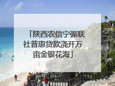 陕西农信宁强联社普惠贷款浇开万亩金银花海