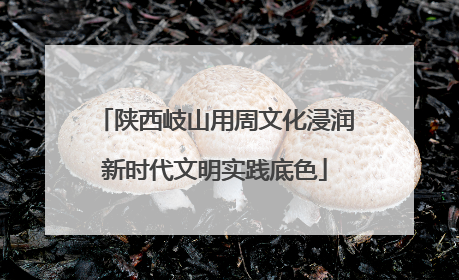 陕西岐山用周文化浸润新时代文明实践底色