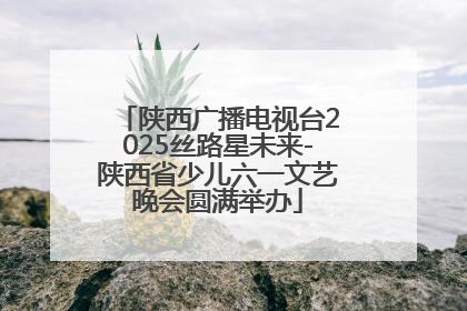 陕西广播电视台2025丝路星未来-陕西省少儿六一文艺晚会圆满举办