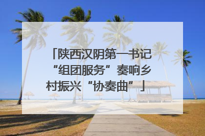 陕西汉阴第一书记“组团服务”奏响乡村振兴“协奏曲”